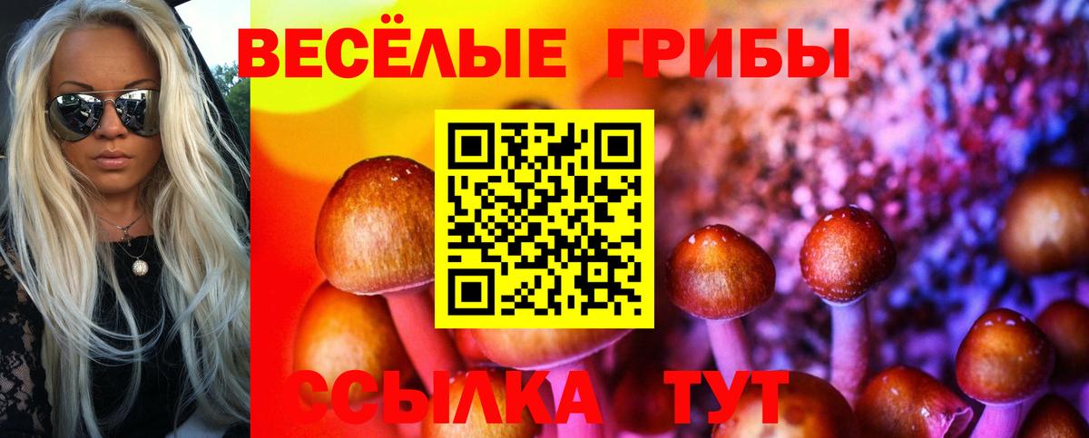 Галлюциногенные грибы прущие грибы  Псилоцибиновые грибы Cubensis  Ярославль  Вход с VPN 