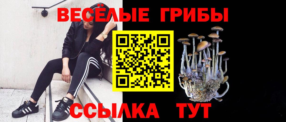 Псилоцибиновые грибы MAGIC MUSHROOMS Ярославль